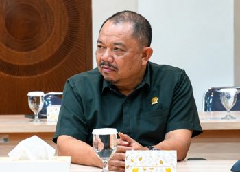 Anggota DPRD Luwu Timur, Muhammad Iwan ikut mendampingi Pemkab Luwu Timur konsultasi ke Komnas HAM RI, Jumat (17/07/2026).