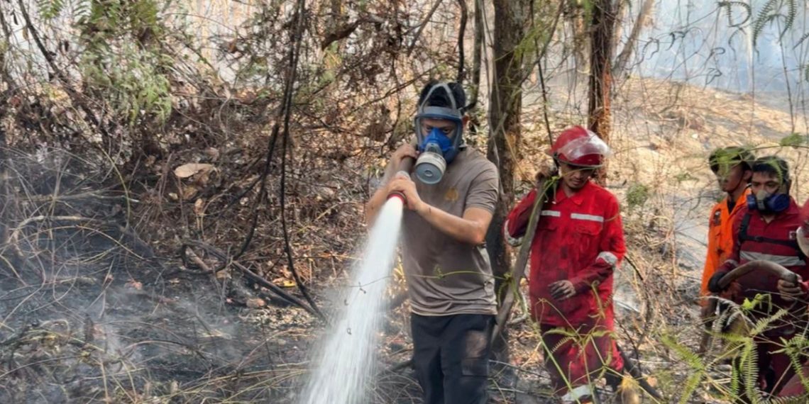 Kapolres Luwu Timur AKBP Ario Putranto Tuhu Mangabdi, ikut membantu pemadaman kebakaran tan dan lahan di Malili, Kamis (27/08/2026).