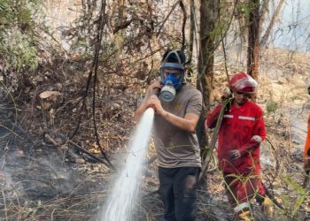 Kapolres Luwu Timur AKBP Ario Putranto Tuhu Mangabdi, ikut membantu pemadaman kebakaran tan dan lahan di Malili, Kamis (27/08/2026).