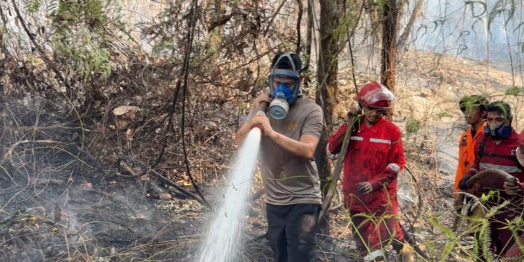 Kapolres Luwu Timur AKBP Ario Putranto Tuhu Mangabdi, ikut membantu pemadaman kebakaran tan dan lahan di Malili, Kamis (27/08/2026).