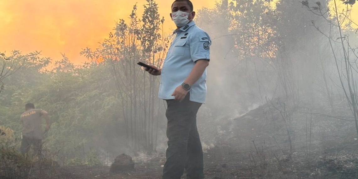 Bupati Luwu Timur Irwan Bachri Syam turun langsung menangani karhutla Malili, Kamis (27/08/2026).