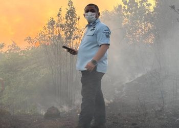 Bupati Luwu Timur Irwan Bachri Syam turun langsung menangani karhutla Malili, Kamis (27/08/2026).