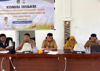 Jaga Produktivitas Pertanian, Luwu Timur Tetapkan Jadwal Tanam Serentak MT III