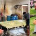Nurtiani (62), pemilik pabrik pengolahan kedelai di Wawondula, Luwu Timur, menyuplai tahu ke perusahan katering rekanan PT Vale Indonesia. Foto: Jumaidil/IST
